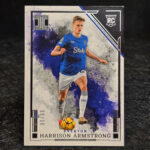 Panini Impeccable PL 2024-25 - Silver - Harrison Armstrong, Everton /65 #16