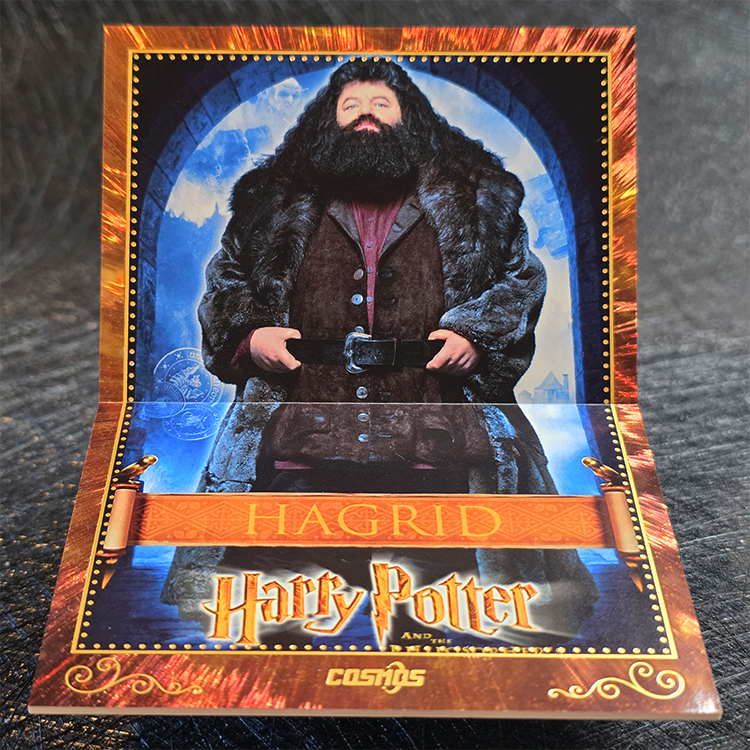 Kakawow Cosmos 2025 - Poster Booklet - Harry Potter #CHP-HB-08