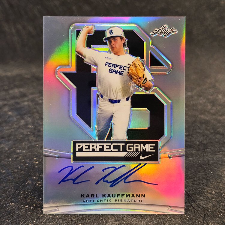 Leaf Metal Draft 2015 - Auto - Karl Kauffmann #BA-KK1