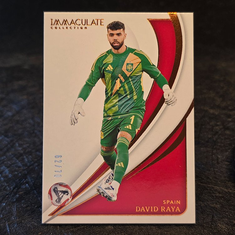 Panini Immaculate 2024-25 - Bronze - David Raya, Spain /70 #117